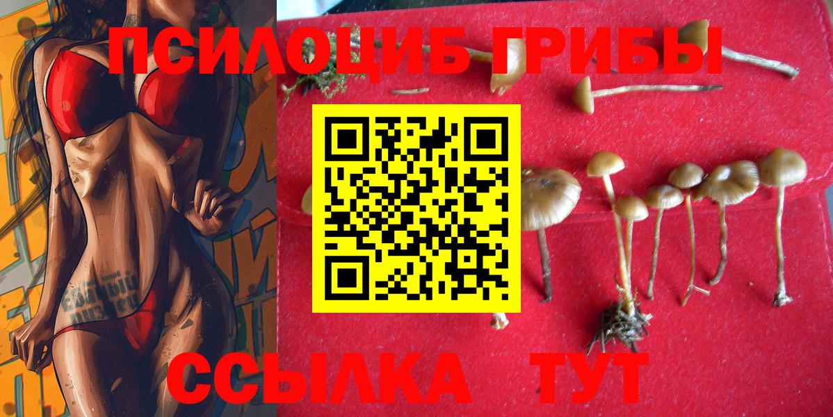 Галлюциногенные грибы мухоморы  Галлюциногенные грибы Psilocybine cubensis  Кинель  Вход с VPN 